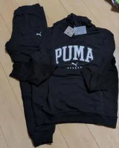 上下 スウェット