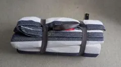 Item thumbnail for item 063029da-3ce3-4902-879d-f071d1859995