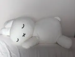 Item thumbnail for item 3260f55b-b8e5-4f1d-b48c-f16440333a63