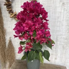 Kiko☆(*^-^)様 リクエスト 3点 まとめ商品