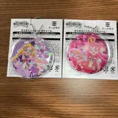 わんだふるぷりきゅあ！　きらきらシャカシャカチャーム　セット