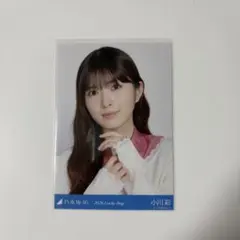 乃木坂46 小川彩 個別バッグ 2026 福袋 Lucky Bag 乃木坂 福袋2026 Lucky Bag カレンダー衣装 小川彩 - メルカリ