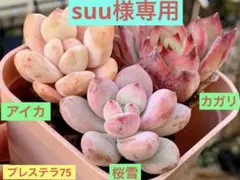 suu様 リクエスト 2点 まとめ商品