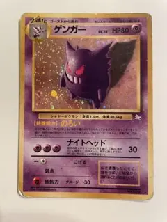 2025年最新】化石の秘密の人気アイテム - メルカリ