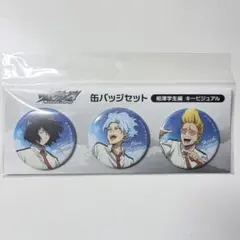 ヒロアカ ヴィジランテ 相澤消太 プレゼントマイク 白雲朧 缶バッジ