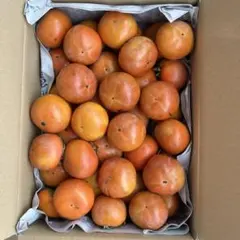【なつ様専用】富有柿 約35個入り　約５キロ 無農薬