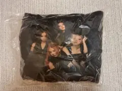 BLACKPINK WORLD TOUR JAPAN バッグ&クッション
