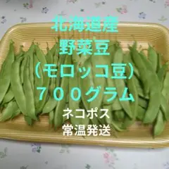 2025年最新】空豆の人気アイテム - メルカリ