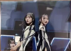 日向坂46 お願いバッハ　ポストカード