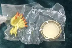 Pokémon GEMSTONE COLLECTION　キュウコン