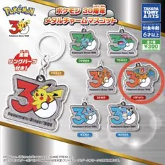 【新品未開封】ポケモン30周年メタルチャームマスコット リザードン