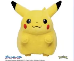 ポケモン30周年記念おかえり!ピカチュウ1/1