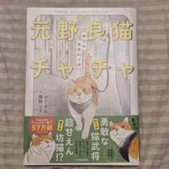 元野良猫チャチャ 本日も見まわり中 かーさん 猫野ソラ
