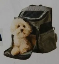 未使用 Benesse いぬのきもち 犬専用キャリーリュック 5DQL09のサムネイル