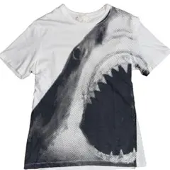 Item thumbnail for item 8b859a16-0c4a-4092-81a3-fb0509f32ece