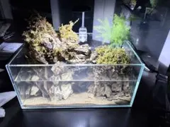 都内直接引渡限定】豪華ADA 45cm水槽フルセット アクアスカイ/青華石数