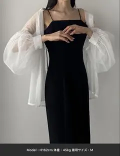 【新品タグ付き】Louere チュールボリュームスリーブシアーシャツのサムネイル