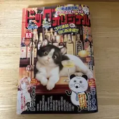ビッグコミックオリジナル2025.10.20号