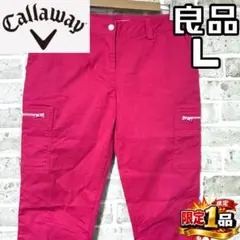 Item thumbnail for item db77d738-4ead-4212-b329-19d9e3cd1a2e