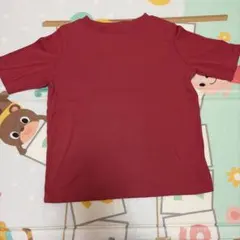 リブニット 半袖 トップス レッド