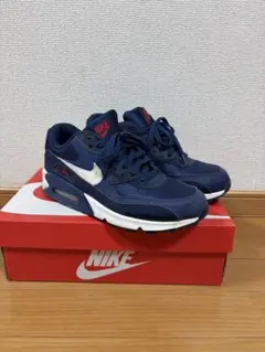 Nike Air Max 26cm