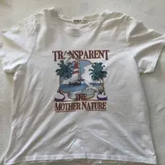 Item thumbnail for item b2157680-696a-420e-8555-1ef754c39649