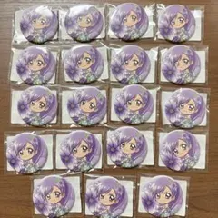 ぴちぴちピッチ　くじ引き堂　D賞　缶バッジ　かれん　ミニキャラ　19個セット