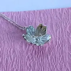 Item thumbnail for item f30b23a3-be2d-4a59-9392-3991884c356e