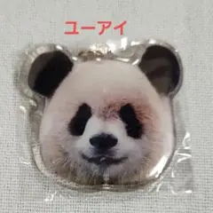 渝愛　ユーアイ アクリルキーホルダー　ガチャ　ウエノデパンダ中秋節 　パンダ