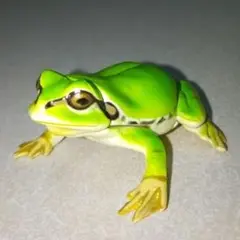 た21 ニホンアマガエル フィギュア チョコエッグ 海洋堂