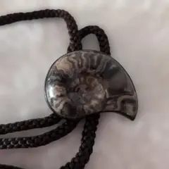 Item thumbnail for item 6b1be297-d92e-44c0-a440-6152472b7ed4