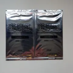 遊戯王カードOCG 入場者特典カード 破滅竜ガンドラX　2枚