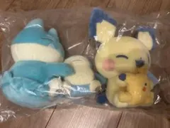 ヒノアラシ マグマラシ ペン立て ぬいぐるみ 中国ポケモンセンター 未