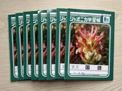 【新品】国語ノート12冊セット 12行・15マス等まとめ売り