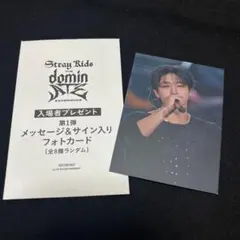 straykids dominate experience ハン