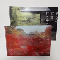 Item thumbnail for item 1bed1d00-e4d4-435f-9238-5f62a5eeaf20