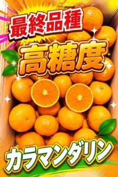 2026年最新】みかんの出品中の人気アイテム - メルカリ