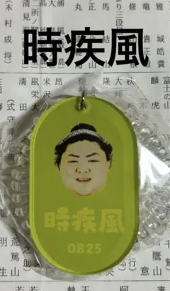 Item thumbnail for item 96994142-b7df-481f-9ef8-632bfabff8a2