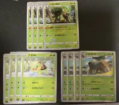 ②【12枚】ナエトル　ドダイトス　ハヤシガメ　進化ライン