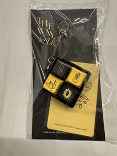チェ・ジョンヒョプ トレカ つき キーキャップキーリング ソウル