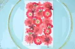 クリーム☆様 リクエスト 2点 まとめ商品