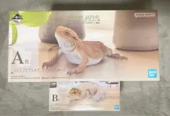 一番くじ 爬虫類＆両生類 A賞 B賞 セット