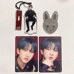 Stray Kids スキズ チャンビン アクリルステッカー トレカ ラントレ
