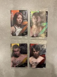 RIZINウエハース2025 ホベルトサトシソウザ ケイトロータス 新品未開封