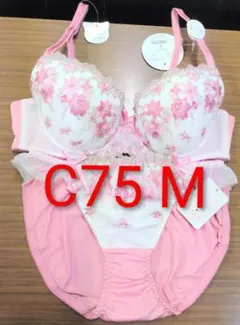 ブラジャー c75