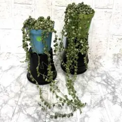 2025年最新】斑入りグリーンネックレス マーブルネックレスの人気