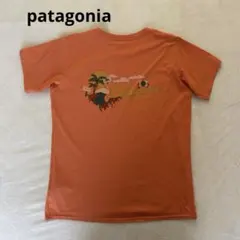 パタゴニア ウィメンズ キャプリーンクールデイリー 速乾 防臭 Tシャツ M