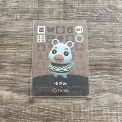 どうぶつの森　amibo amiibo ゆきみ カード 067