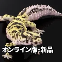 レオパードゲッコー（バンディット） いきもの大図鑑アドバンス 02