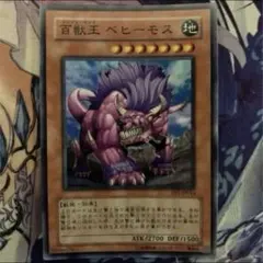 百獣王ベヒーモス　レリーフ　psa10 カードショップグラン / ［状態A］百獣王ベヒーモス【レリーフ】[FET